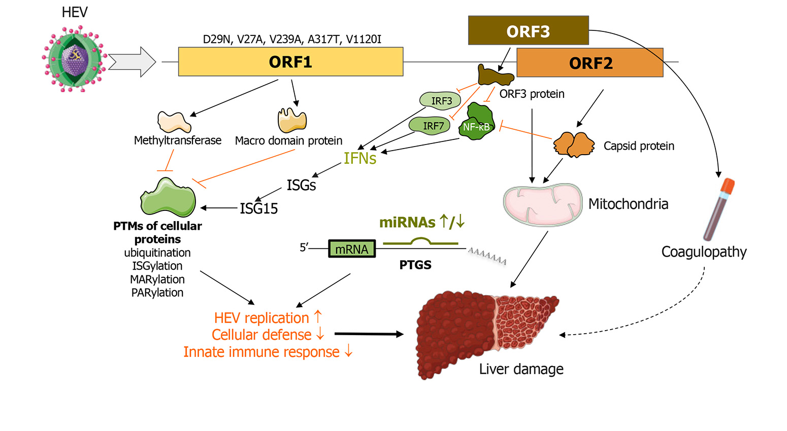 World Journal Of Virology - Baishideng Publishing Group