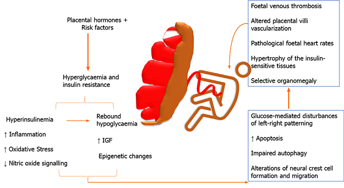 world journal of diabetes (wjd) impact factor