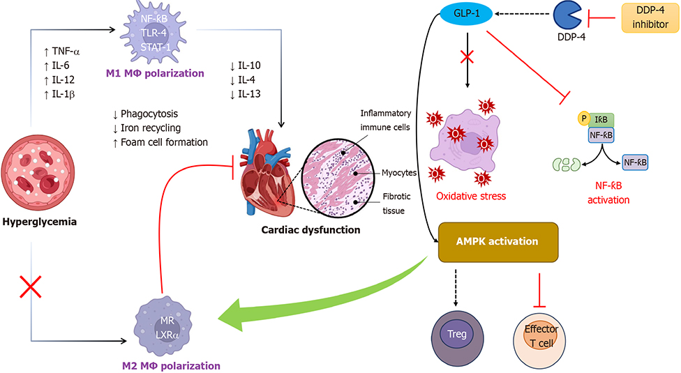 World Journal of Diabetes - Baishideng Publishing Group