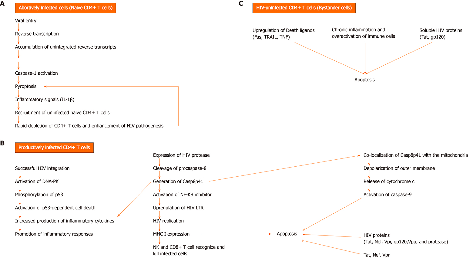 world-journal-of-gastrointestinal-pathophysiology-baishideng