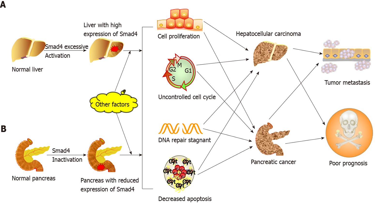 World Journal of Stem Cells - Baishideng Publishing Group