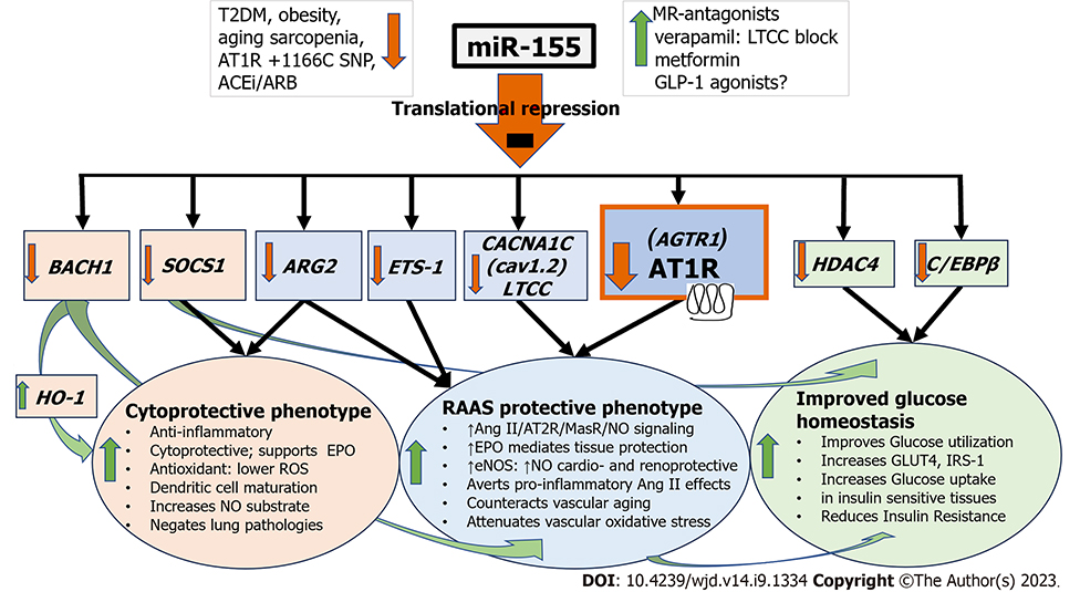 Journals for Free Journal detail World Journal of Diabetes